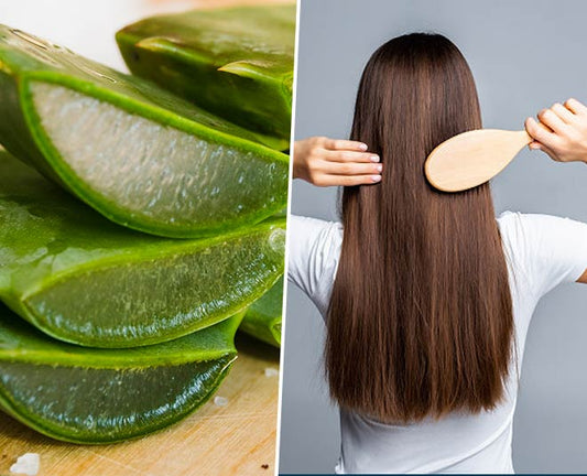 Aloe is the natural Haircare Hack